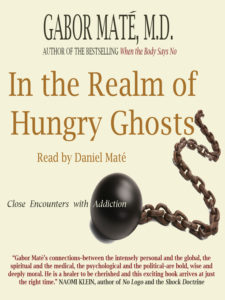 book in the realm of hungry ghosts